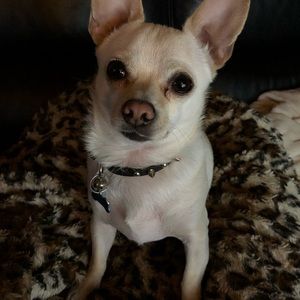 Meet your Posher, Keri